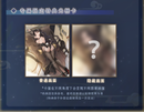 Senkan Shoujo R Calbone 1913 Battlecruiser Zhen Xiu Bai Bao Ver.