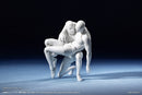 [CRE] Series Neural Interface SEXYICE Bioroid-Troy 021 1/12 Action Figure