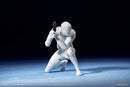 [CRE] Series Neural Interface SEXYICE Bioroid-Troy 021 1/12 Action Figure