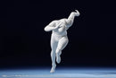 [CRE] Series Neural Interface SEXYICE Bioroid-Troy 021 1/12 Action Figure