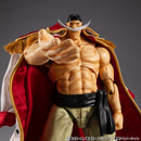 ONE PIECE MEGAHOUSE Variable Action Heroes 〝White Beard〟Edward Newgate Ver. 1.5