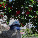 Jujutsu Kaisen MEGAHOUSE MEGA CAT PROJECT Hidden Inventory／Premature Death Ver.  Nyanto! The Big Series Jujutsu Cats Satoru Gojo