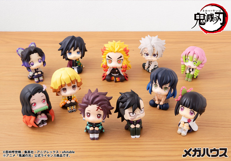 Demon Slayer: Kimetsu no Yaiba MEGAHOUSE Look up Kanao Tsuyuri (Repeat)