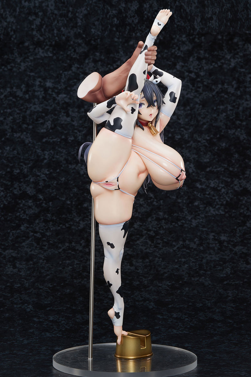 Illustrated by Asanagi PURE Amane Sopra (DX Ver.)