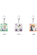 Dr. Stone Contents Seed Acrylic Key Chain Neko to Issho Ver.