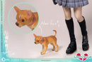 GIRL CRUSH SERIES: ASMUS TOYS MOMOKO-Winter Uniform Ver.