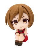 VOCALOID Series MEGAHOUSE Lookup MEIKO