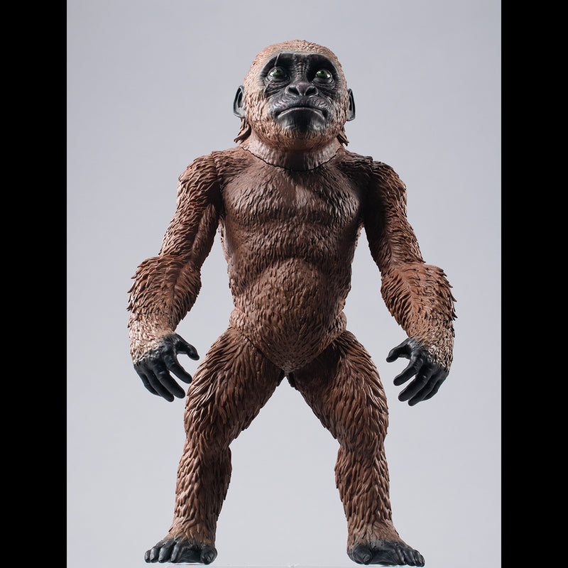 GODZILLA×KONG The New Empire MEGAHOUSE UA Monsters KONG （２０２４）with SUKO