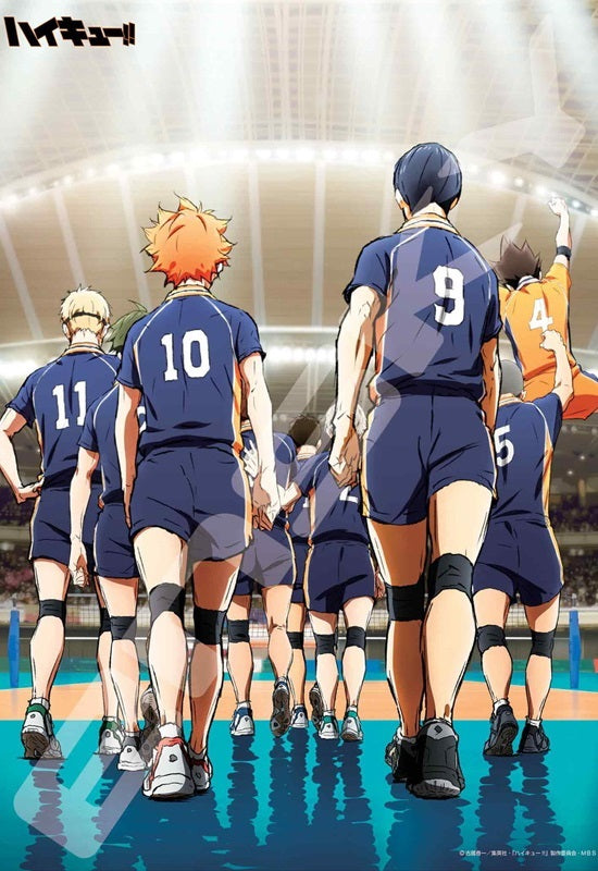 Haikyu!! Ensky Jigsaw Puzzle 500 Piece 500-543 Start Game!