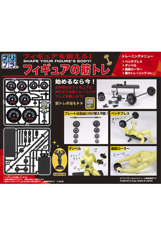 MIC Pripra Figure of Strength Training