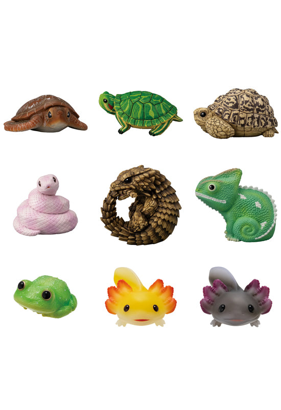 Bandai Tenori Friends 11 -Reptiles & Amphibians-