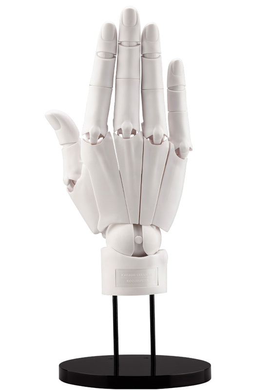 TAKAHIRO KAGAMI Kotobukiya ARTIST SUPPORT ITEM HAND MODEL/R -WHITE-