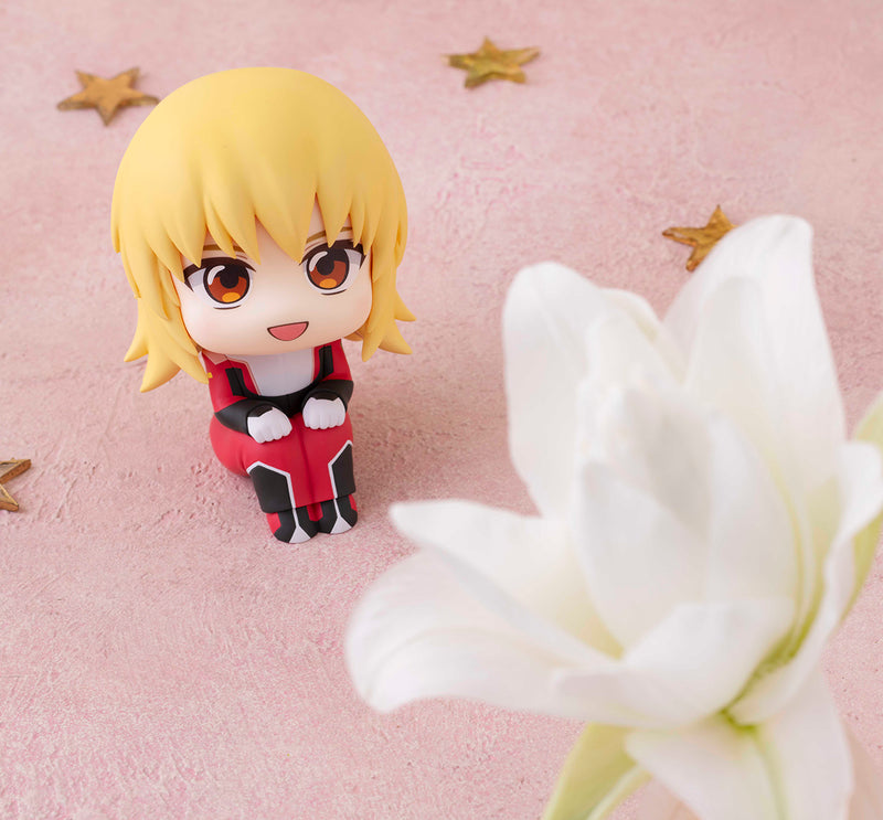Mobile Suit Gundam SEED FREEDOM MEGAHOUSE Lookup Lacus Clyne & Cagalli Yula Athha set 【with gift】