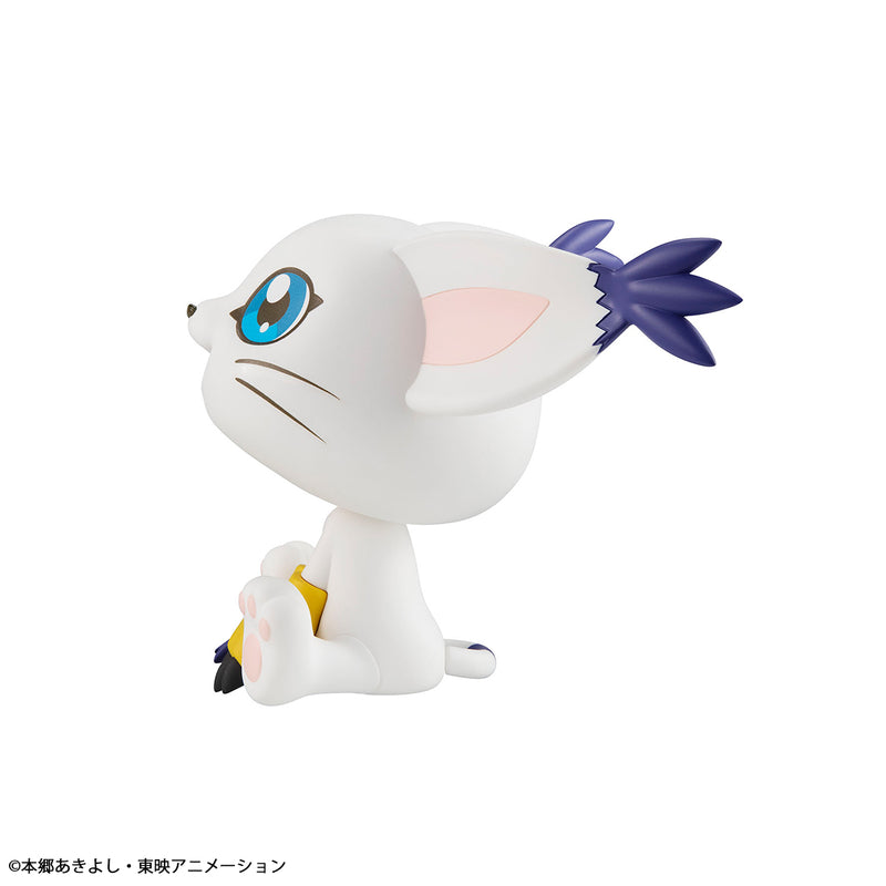 Digimon Adventure MEGAHOUSE Lookup Tailmon（Repeat）