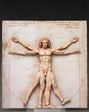 SP-075 The Table Museum figma Vitruvian Man (4th-run)
