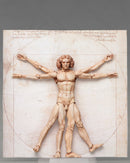 SP-075 The Table Museum figma Vitruvian Man (4th-run)