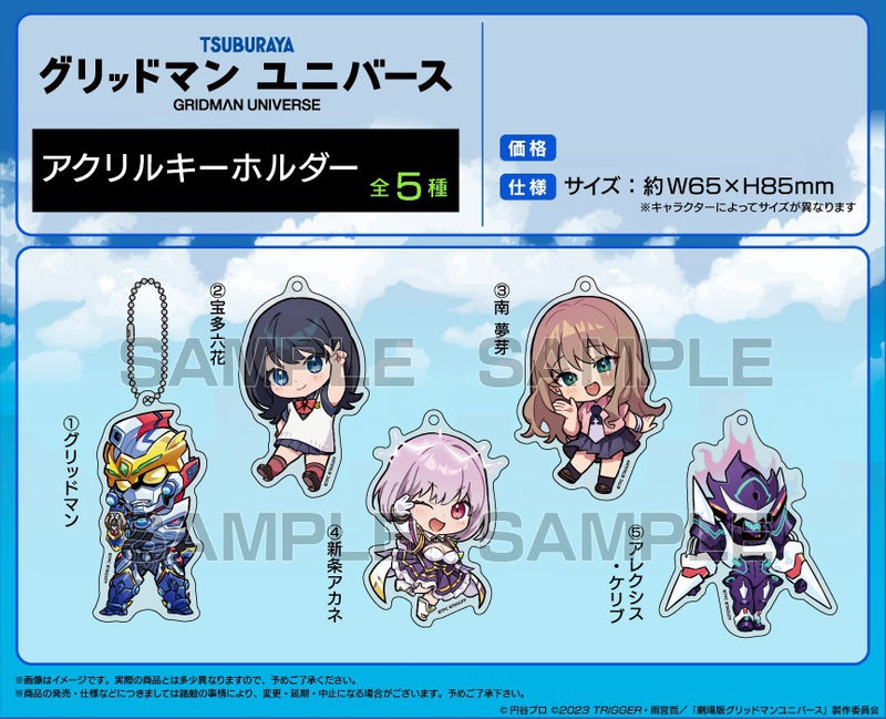 GRIDMAN UNIVERSE TEAM Entertainment Acrylic Key Chain Gridman(1-5 Selection)
