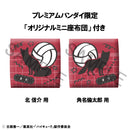 Haikyu!! MEGAHOUSE Lookup Shinsuke Kita & Rintaro Suna Uniform ver. set 【with gift】