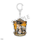 Disney Twisted Wonderland KAMIO JAPAN Scary Dress Ver. Trading Acrylic Key Chain Vol.1(1 Random)