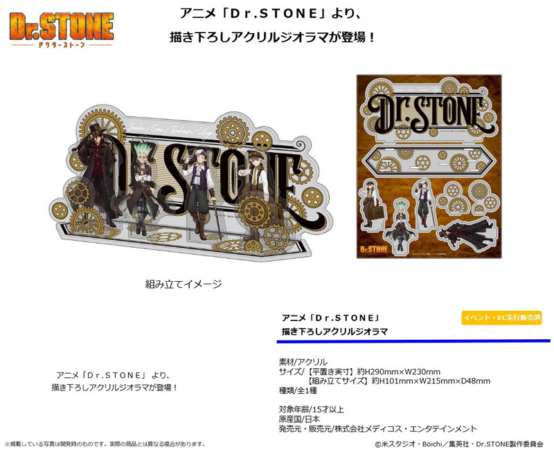 Dr. Stone Medicos Entertainment Original Illustration Acrylic Diorama