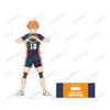 Haikyu!! To The Top armabianca Ani-Art Vol. 4 Big Acrylic Stand Hinata Shoyo