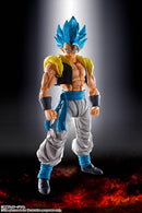 Dragon Ball Super Broly Bandai S.H.Figuarts Super Saiyan God Super Saiyan Gogeta