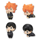 Hugkoro DELiGHT WORKS Haikyu!! Vol. 1.5 (Set of 6 Characters)