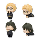 Hugkoro DELiGHT WORKS Haikyu!! Vol. 1.5 (1 Random Blind)