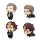Hugkoro DELiGHT WORKS Haikyu!! Vol. 1.5 (Set of 6 Characters)
