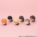 Hugkoro DELiGHT WORKS Haikyu!! Vol. 1.5 (1 Random Blind)