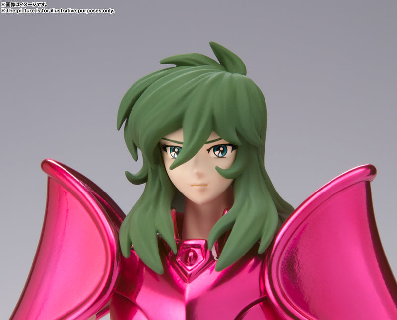 Saint Cloth Myth EX Bandai Andromeda Shun New Bronze Saint Cloth Myth Revival Ver.
