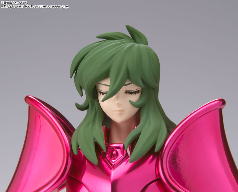 Saint Cloth Myth EX Bandai Andromeda Shun New Bronze Saint Cloth Myth Revival Ver.