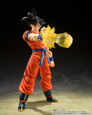 Dragon Ball Z Bandai S.H.Figuarts Son Gokou Effect Parts Set(JP)