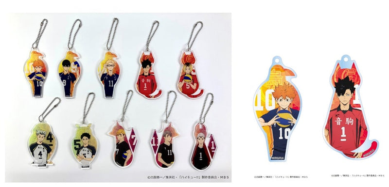 Haikyu!! Nippon Television Service Trading Acrylic Key Chain (Box of 10)