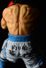 Hajime no Ippo ORCATOYS Makunouchi Ippo -Fighting Pose-