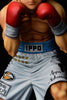Hajime no Ippo ORCATOYS Makunouchi Ippo -Fighting Pose-