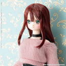 Futari no Kyujitsu no Sugoshikata Azone international EX Cute Family Fuka