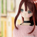 Futari no Kyujitsu no Sugoshikata Azone international EX Cute Family Fuka