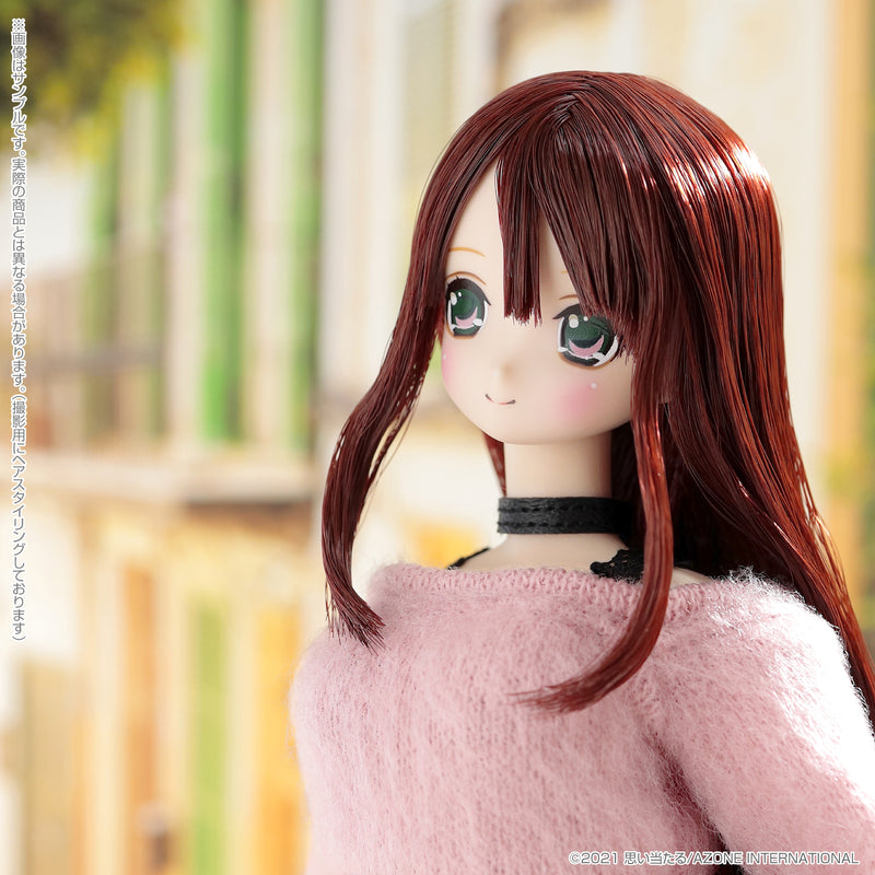 Futari no Kyujitsu no Sugoshikata Azone international EX Cute Family Fuka