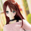 Futari no Kyujitsu no Sugoshikata Azone international EX Cute Family Fuka