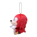 Sonic the Hedgehog Sega & You Plush (1 Random Blind)