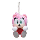 Sonic the Hedgehog Sega & You Plush (1 Random Blind)