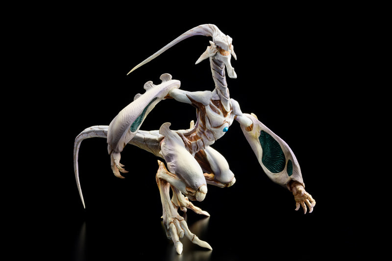 Betterman Hobby JAPAN Nebula