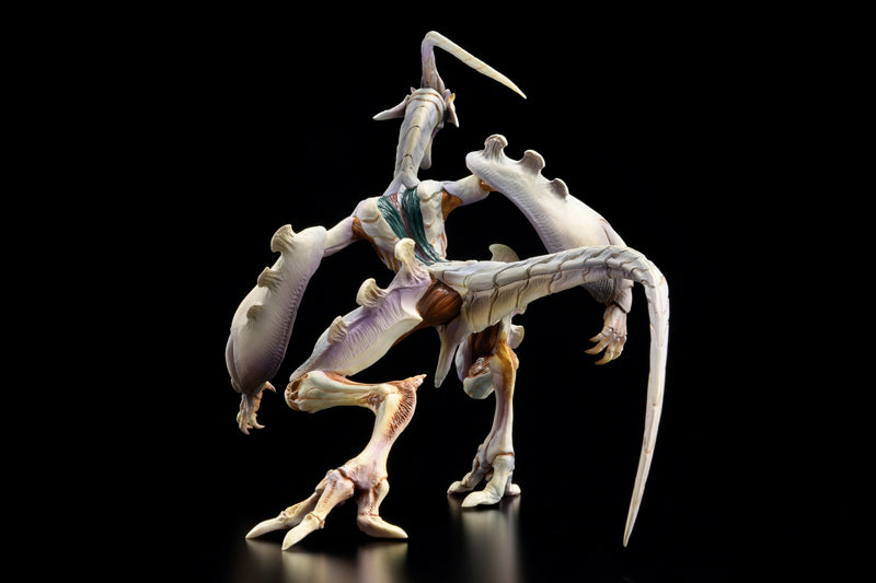 Betterman Hobby JAPAN Nebula