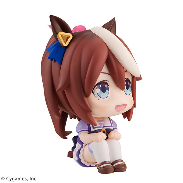 Uma Musume Pretty Derby MEGAHOUSE Look up  Tokai Teio
