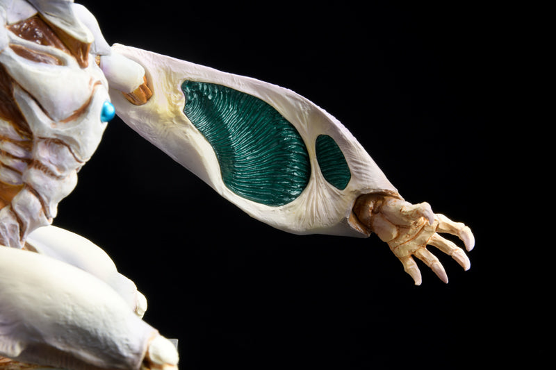 Betterman Hobby JAPAN Nebula