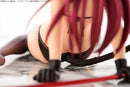 FAIRY TAIL OrcaToys Erza Scarlet Black Cat Gravure Style