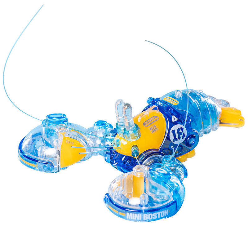 ORANGE CAT INDUSTRY Boston Lobster (Crystal Blue)