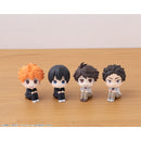 Haikyu!! MEGAHOUSE Look up Hajime Iwaizumi