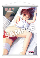 Doukyusei Remake BINDing Misa Tanaka Tapestry